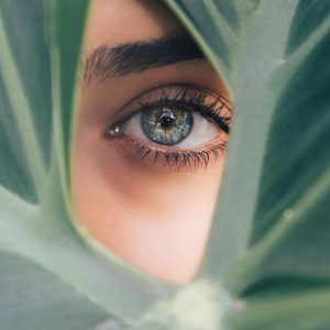 Microblading & Shading